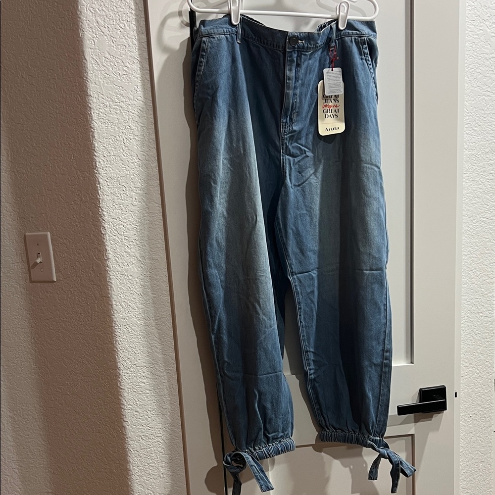ARULA Classic Blue Jeans (2X & 3X)